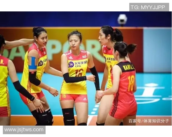 广州排球队的奋斗历程与总决赛背后的成长故事揭秘